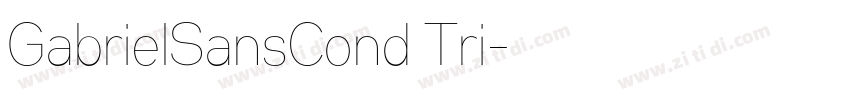 GabrielSansCond Tri字体转换